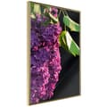Miniatyrbild 1 av 11: Inramad Poster / Tavla - Violet May