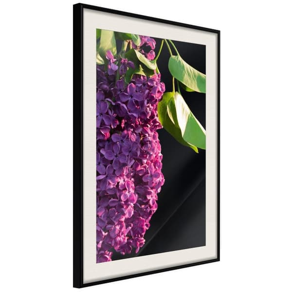 Inramad Poster / Tavla - Violet May