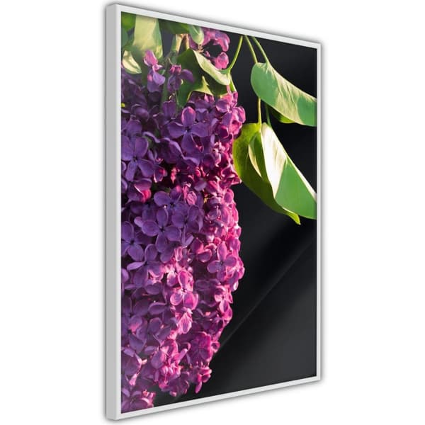 Inramad Poster / Tavla - Violet May Vit ram 20x30