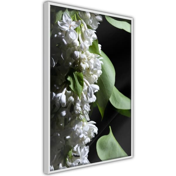 Inramad Poster / Tavla - Fragrant Spring