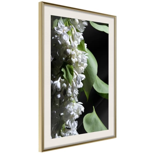 Inramad Poster / Tavla - Fragrant Spring