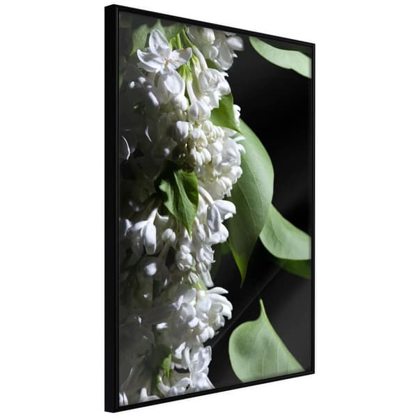 Inramad Poster / Tavla - Fragrant Spring
