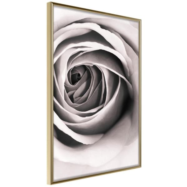 Inramad Poster / Tavla - Structure of Petals
