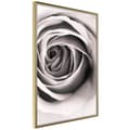 Miniatyrbild 1 av 11: Inramad Poster / Tavla - Structure of Petals