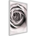 Miniatyrbild 8 av 11: Inramad Poster / Tavla - Structure of Petals