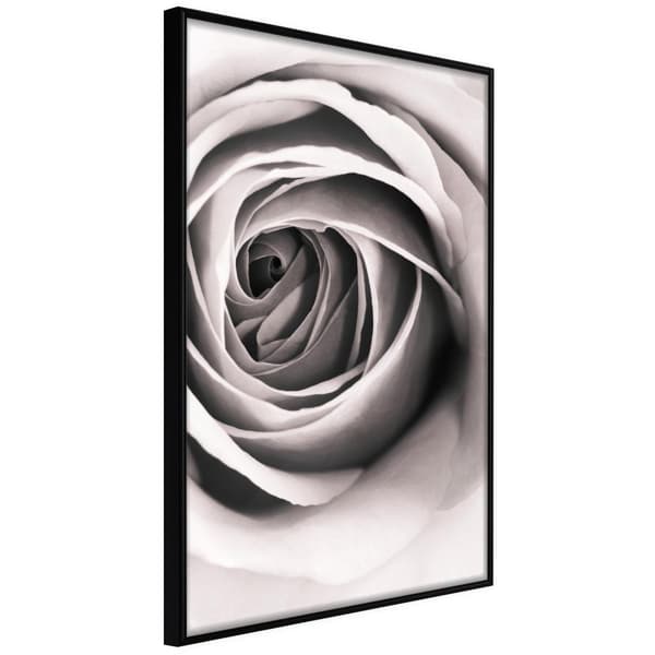 Inramad Poster / Tavla - Structure of Petals