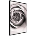 Miniatyrbild 1 av 11: Inramad Poster / Tavla - Structure of Petals