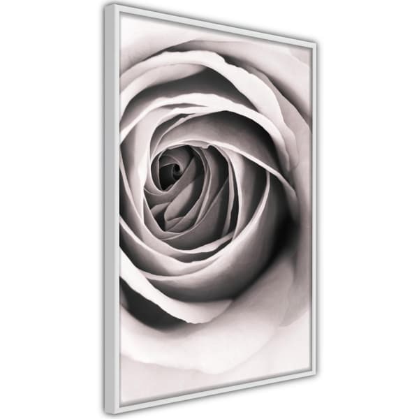 Inramad Poster / Tavla - Structure of Petals