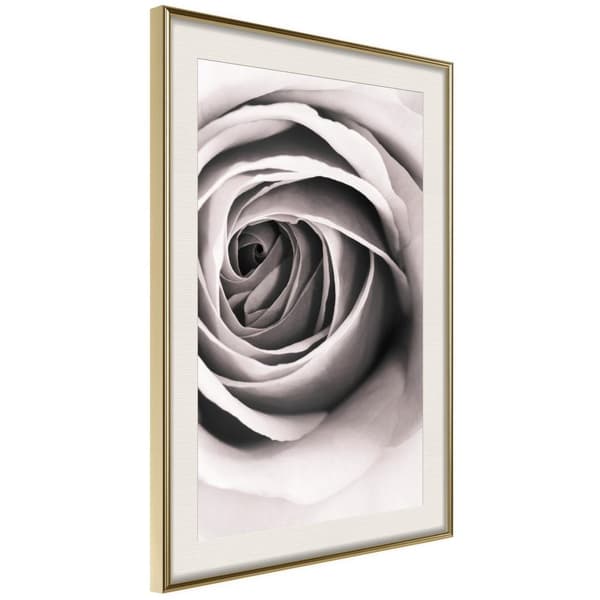 Inramad Poster / Tavla - Structure of Petals