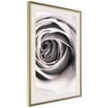 Miniatyrbild 9 av 11: Inramad Poster / Tavla - Structure of Petals