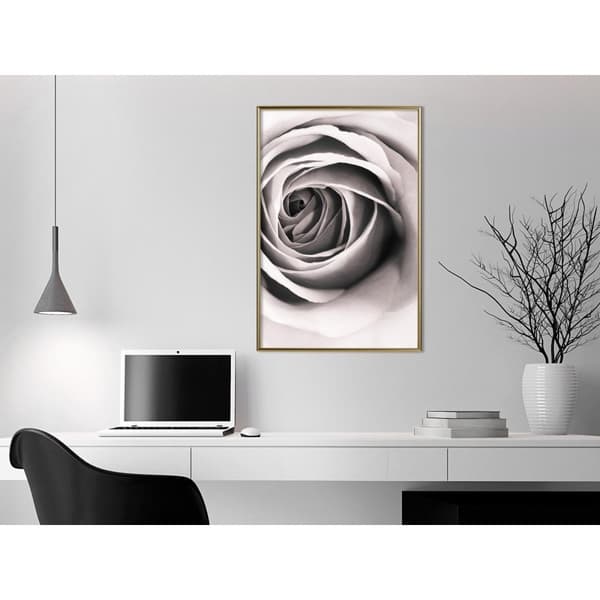 Inramad Poster / Tavla - Structure of Petals