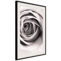 Miniatyrbild 1 av 11: Inramad Poster / Tavla - Structure of Petals