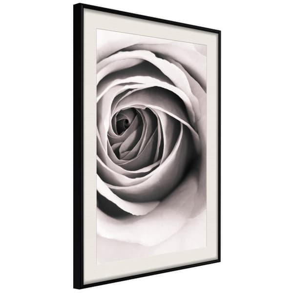 Inramad Poster / Tavla - Structure of Petals Svart ram med passepartout 20x30