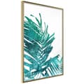 Miniatyrbild 1 av 11: Inramad Poster / Tavla - Teal Palm on White Background