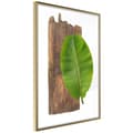 Miniatyrbild 1 av 11: Inramad Poster / Tavla - Forest Nature
