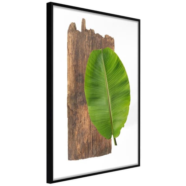 Inramad Poster / Tavla - Forest Nature