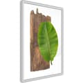 Miniatyrbild 8 av 11: Inramad Poster / Tavla - Forest Nature