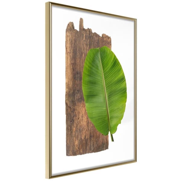 Inramad Poster / Tavla - Forest Nature