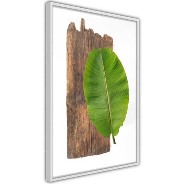 Inramad Poster / Tavla - Forest Nature