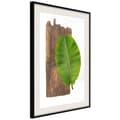 Miniatyrbild 4 av 11: Inramad Poster / Tavla - Forest Nature