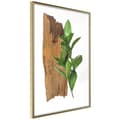 Miniatyrbild 1 av 11: Inramad Poster / Tavla - Forest Bouquet