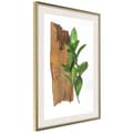 Miniatyrbild 9 av 11: Inramad Poster / Tavla - Forest Bouquet