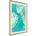 Miniatyrbild 9 av 11: Inramad Poster / Tavla - Teal Monstera