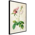 Miniatyrbild 2 av 11: Inramad Poster / Tavla - Romance I