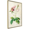 Miniatyrbild 1 av 11: Inramad Poster / Tavla - Romance I