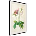 Miniatyrbild 5 av 11: Inramad Poster / Tavla - Romance I