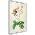Miniatyrbild 9 av 11: Inramad Poster / Tavla - Romance I