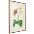 Miniatyrbild 10 av 11: Inramad Poster / Tavla - Romance I