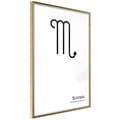 Miniatyrbild 1 av 11: Inramad Poster / Tavla - Zodiac: Scorpio II