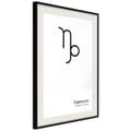 Miniatyrbild 5 av 11: Inramad Poster / Tavla - Zodiac: Capricorn II