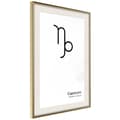 Miniatyrbild 10 av 11: Inramad Poster / Tavla - Zodiac: Capricorn II
