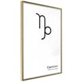 Miniatyrbild 1 av 11: Inramad Poster / Tavla - Zodiac: Capricorn II