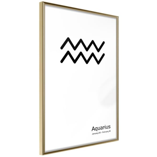 Inramad Poster / Tavla - Zodiac: Aquarius II