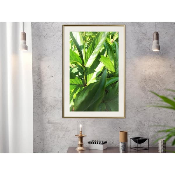 Inramad Poster / Tavla - Somewhere in the Garden