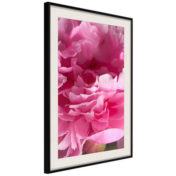 Inramad Poster / Tavla - Magenta Madness