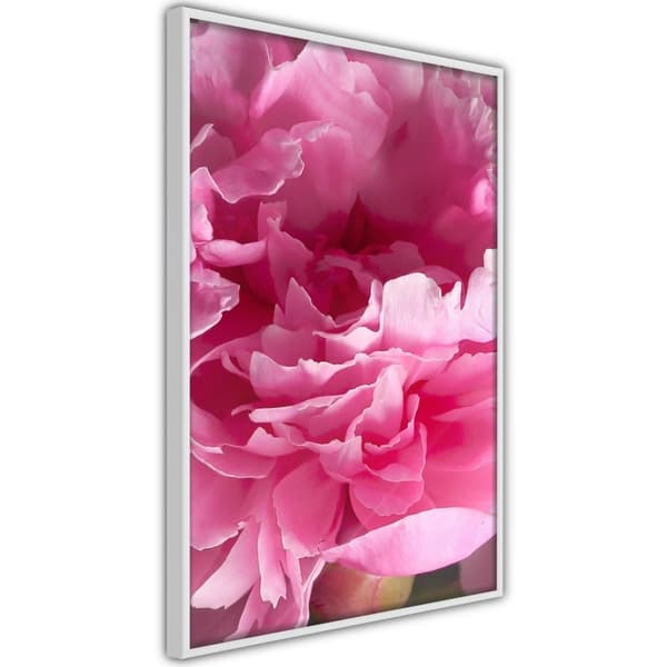 Inramad Poster / Tavla - Magenta Madness