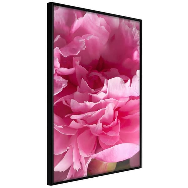 Inramad Poster / Tavla - Magenta Madness