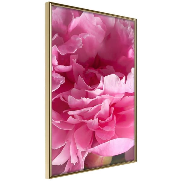 Inramad Poster / Tavla - Magenta Madness