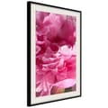Miniatyrbild 5 av 11: Inramad Poster / Tavla - Magenta Madness