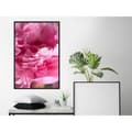 Miniatyrbild 3 av 11: Inramad Poster / Tavla - Magenta Madness