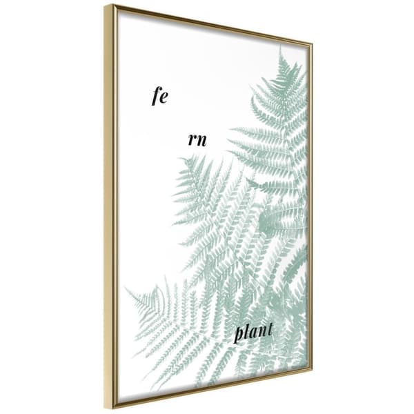 Inramad Poster / Tavla - Pale Green Fern