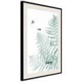Miniatyrbild 5 av 11: Inramad Poster / Tavla - Pale Green Fern