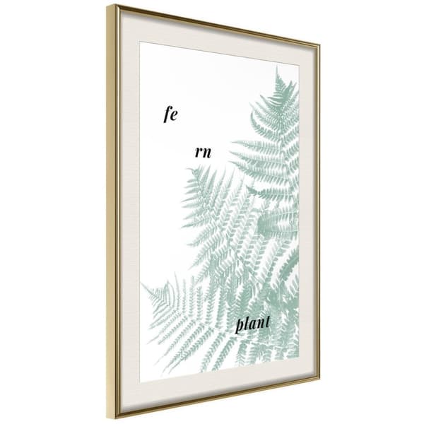 Inramad Poster / Tavla - Pale Green Fern