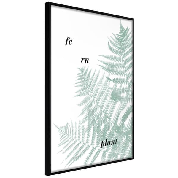 Inramad Poster / Tavla - Pale Green Fern