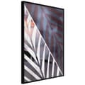 Miniatyrbild 2 av 11: Inramad Poster / Tavla - Day and Night in the Jungle