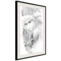 Miniatyrbild 5 av 11: Inramad Poster / Tavla - Mysterious Look (Grey)